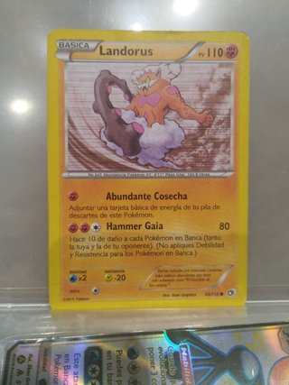 Carta Pokémon