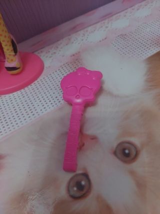 Muñeca Monster High Draculaura