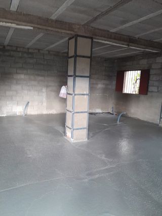 Ventanas de hierro con tela para bichos