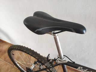 Bicicleta de montaña