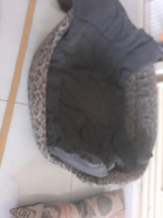 Cama mascota, arnés, comedero