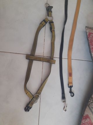 Cama mascota, arnés, comedero