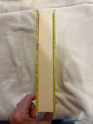 Diario de Nikki 7 - Una famosa con poco estilo