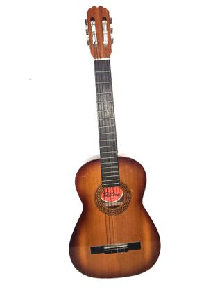 Guitarra Ritmo T-1
