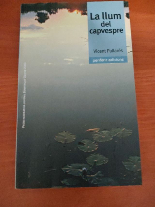 La llum del capvespre (Narrativa) (Catalan Edition)