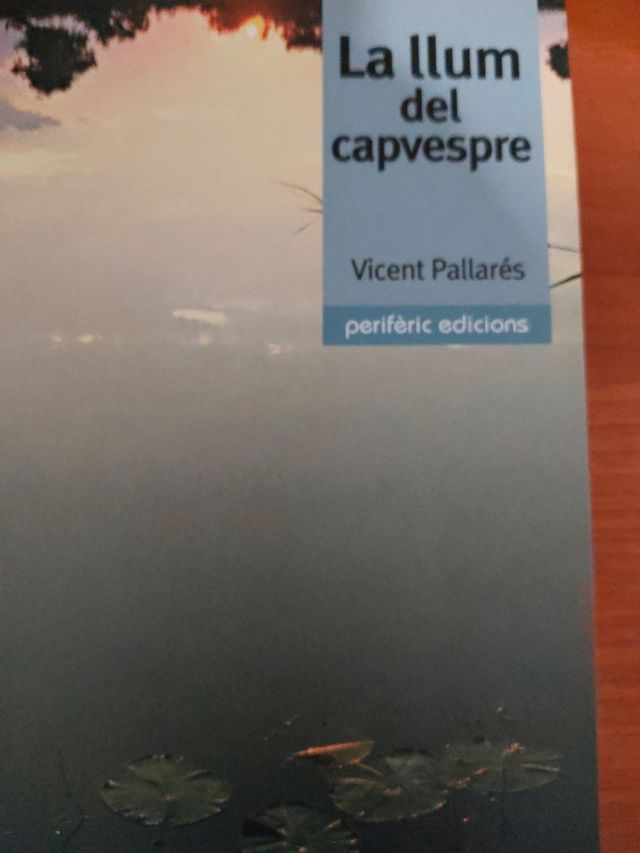 La llum del capvespre (Narrativa) (Catalan Edition)