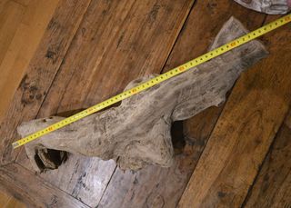 Tronco terrario grande