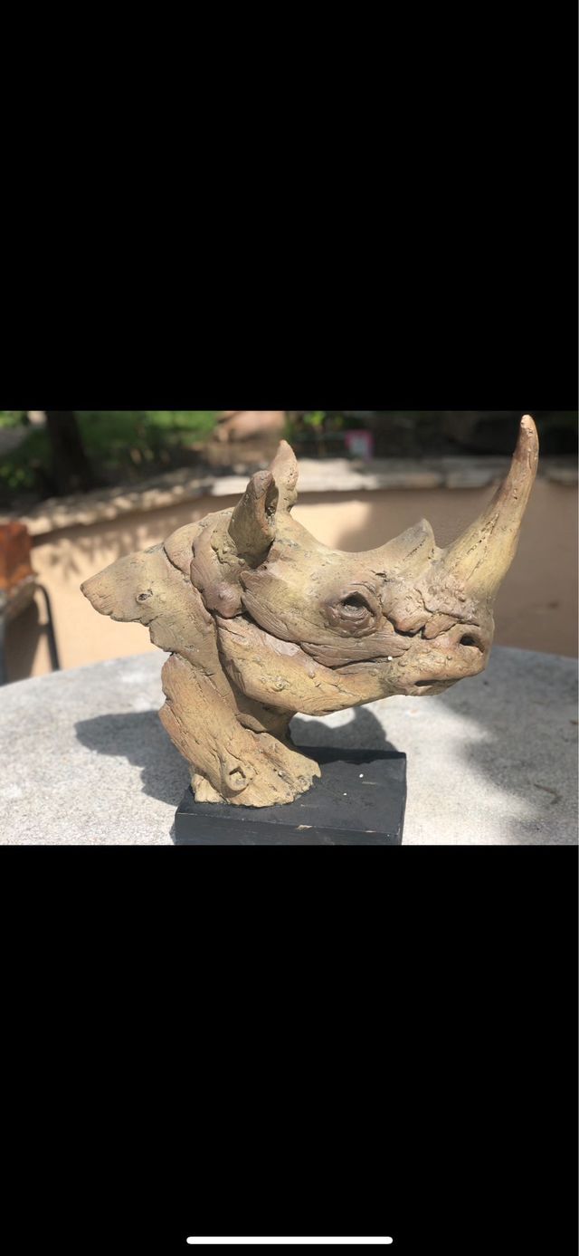 Ceramica de Rinoceronte