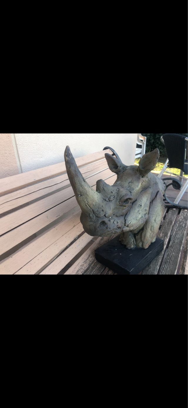 Ceramica de Rinoceronte