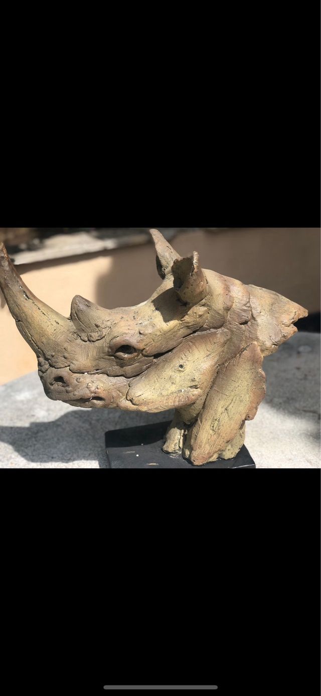 Ceramica de Rinoceronte