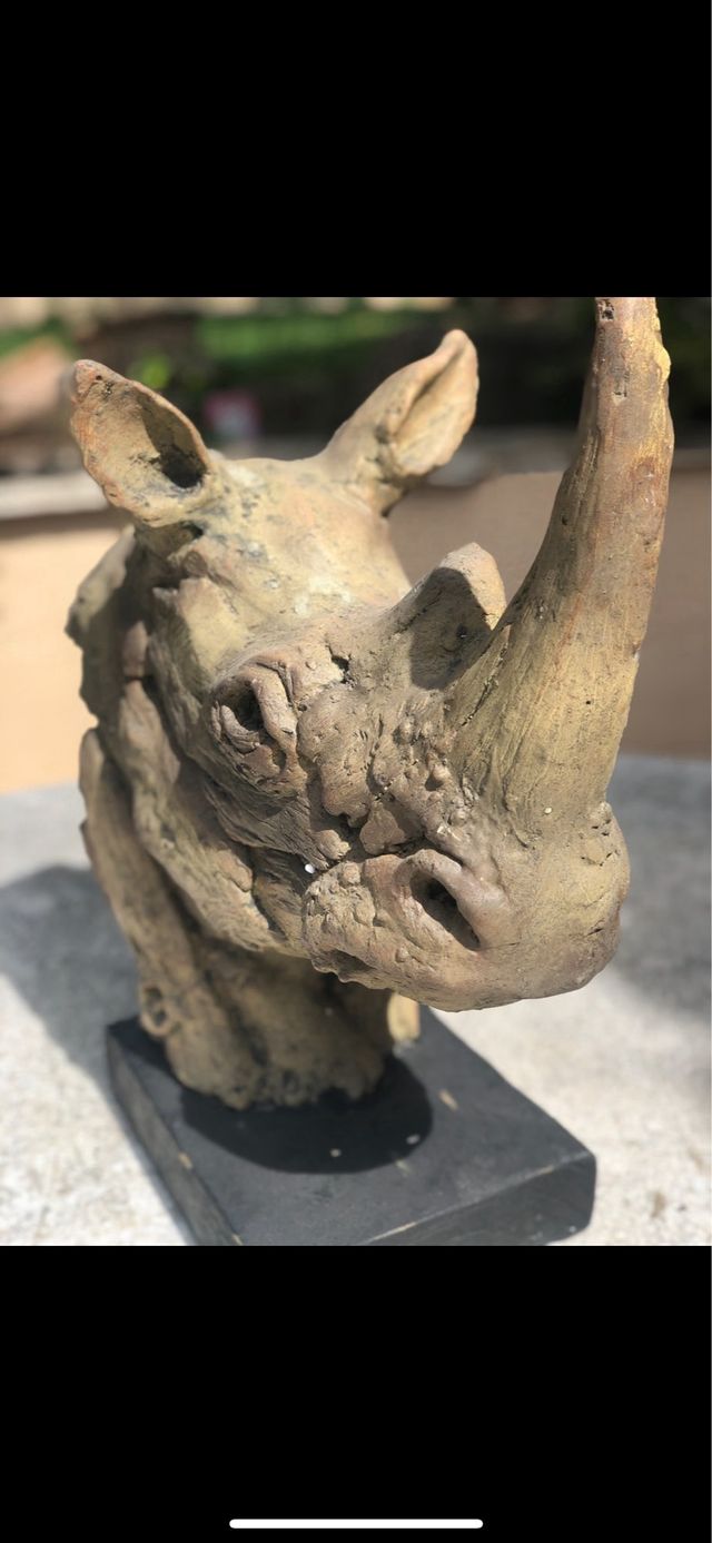 Ceramica de Rinoceronte