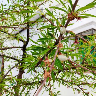 Se realizan portes y pequeñas mudanzas .