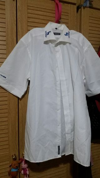 Varias Camisas de vestir