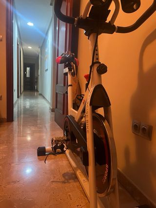 Bicicleta estatica