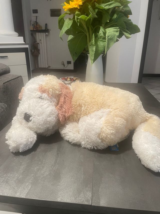 Peluche cane grande