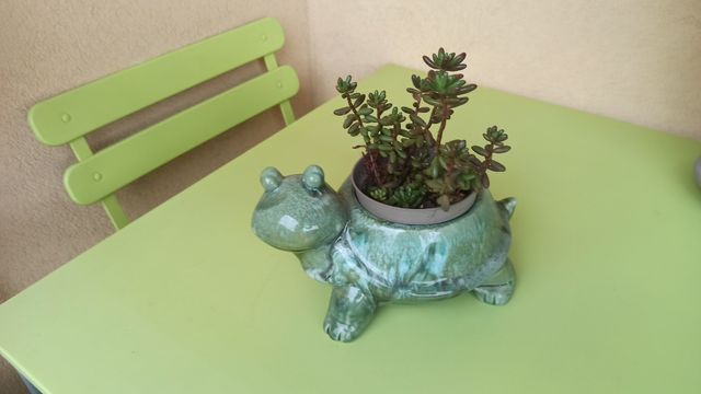 Sottovaso a forma di tartaruga ceramica