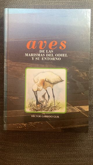 Aves de las marismas del Odiel y su ento
