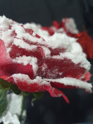 Addobbi rossi albero Natale pezzi 28