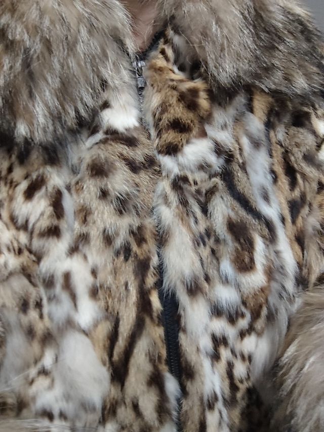 Giacca Lipi Cat pelliccia gatto Lipi vera bordata