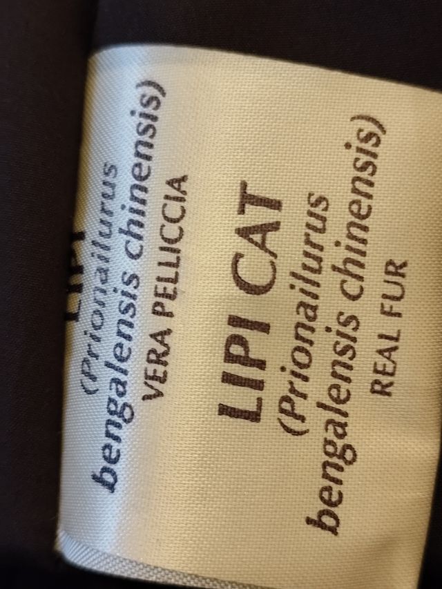 Giacca Lipi Cat pelliccia gatto Lipi vera bordata
