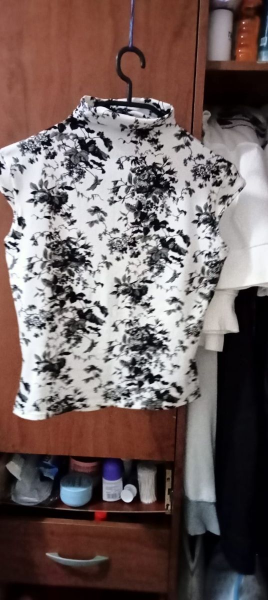 Blusa