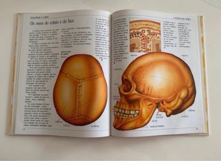 Livro A estrutura óssea