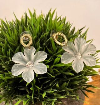 winter ice flowers