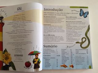 Livro Primeiro dicionário