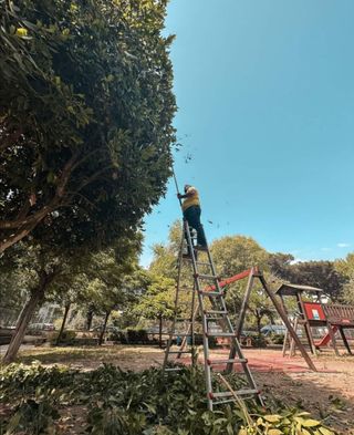 Jardinero economíco 