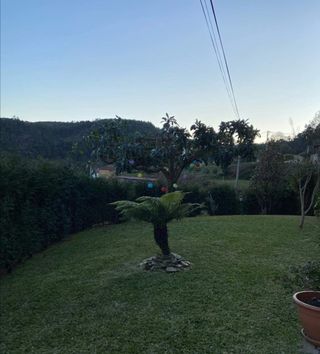 Limpieza de parcelas jardines 