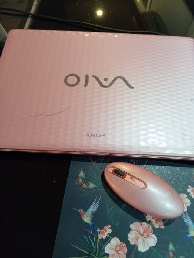 Portátil Sony Vaio