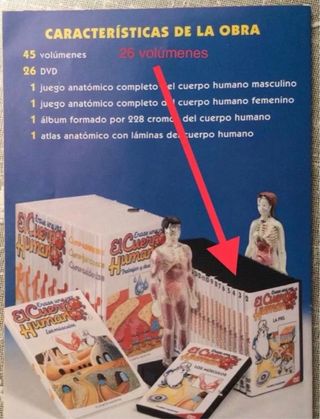 DVD de la colección ÉRASE UNA VEZ EL CUERPO HUMANO
