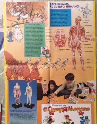 DVD de la colección ÉRASE UNA VEZ EL CUERPO HUMANO