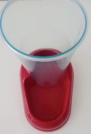 Dispenser per cani e gatti
