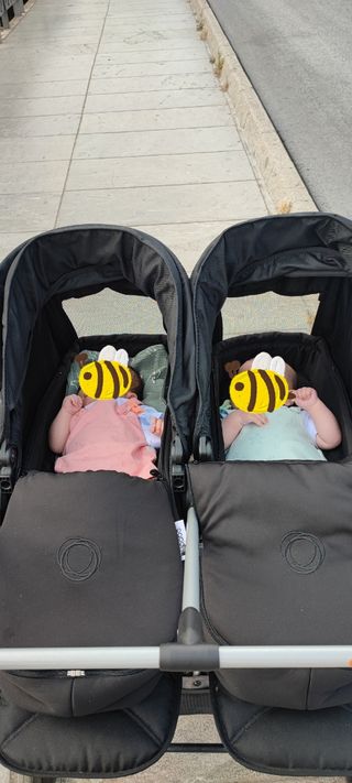 Capazos blandos de invierno negros bogaboo