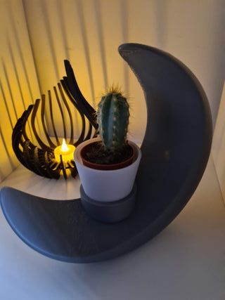 Vaso Decorativo LUA– Peça de Design Moderno