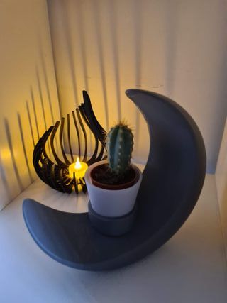 Vaso Decorativo LUA– Peça de Design Moderno