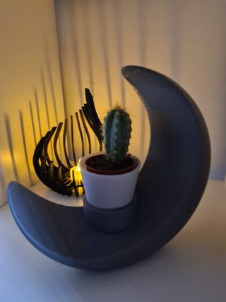 Vaso Decorativo LUA– Peça de Design Moderno