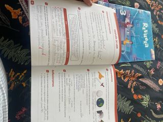 Libros de texto 3- de Primaria 