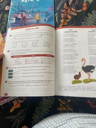 Libros de texto 3- de Primaria 