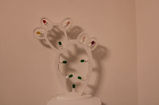 Luminaria Salentina Fico d'india 60x60