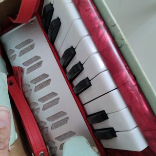 Órgano acordeon