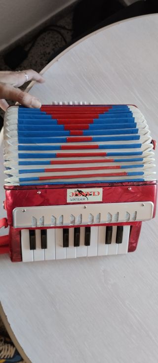 Órgano acordeon