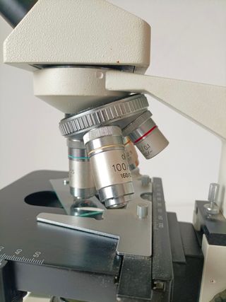 Microscopio profesional Potop