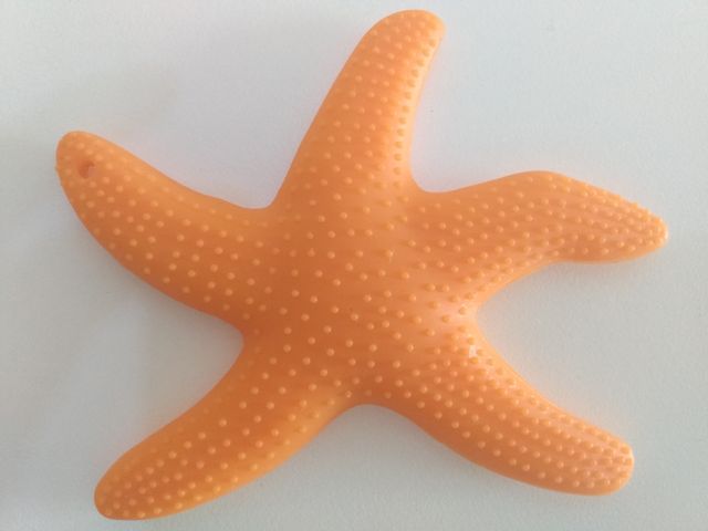 Mordedor de silicona: estrella de mar