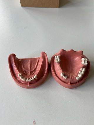 Tipodonto edéntulo parcial prótesis KAVO