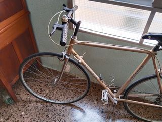 Bicicleta Zelerius