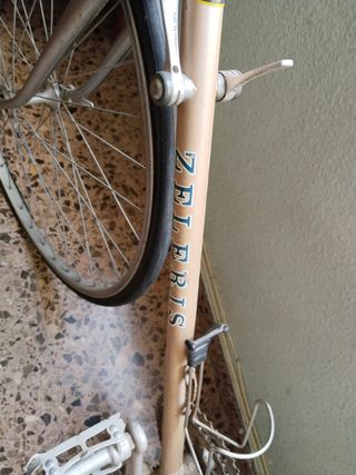 Bicicleta Zelerius