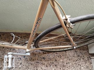Bicicleta Zelerius