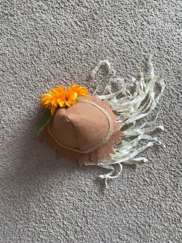 Sombrero espantapájaros